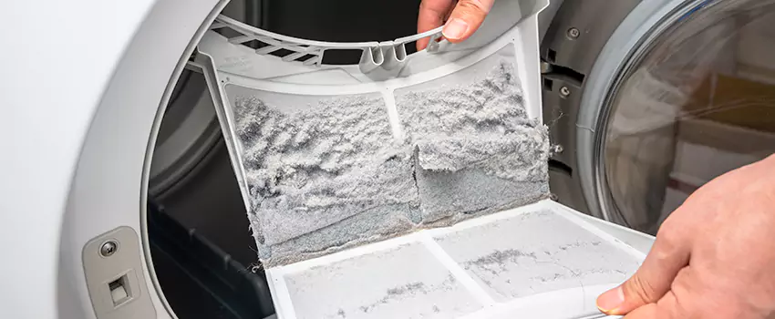 Best Dryer Lint Removal Company in Brawley, California